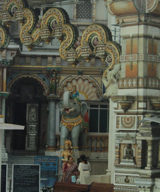 12322672 1294630500552084 4720293876278624668 o