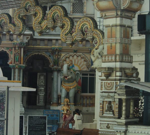 12322672 1294630500552084 4720293876278624668 o