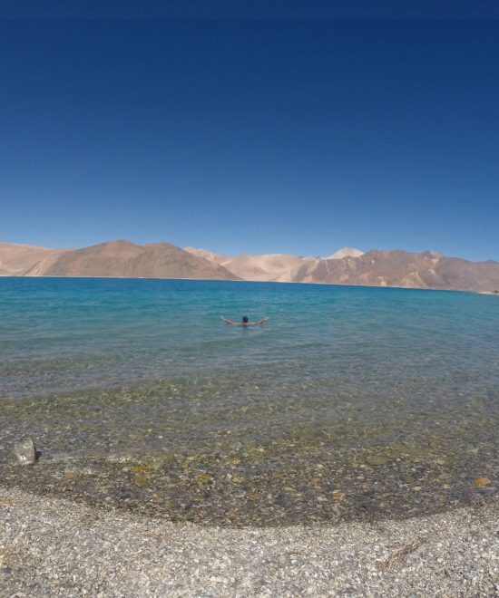 10535684 10152289123401024 6670554236959003318 o