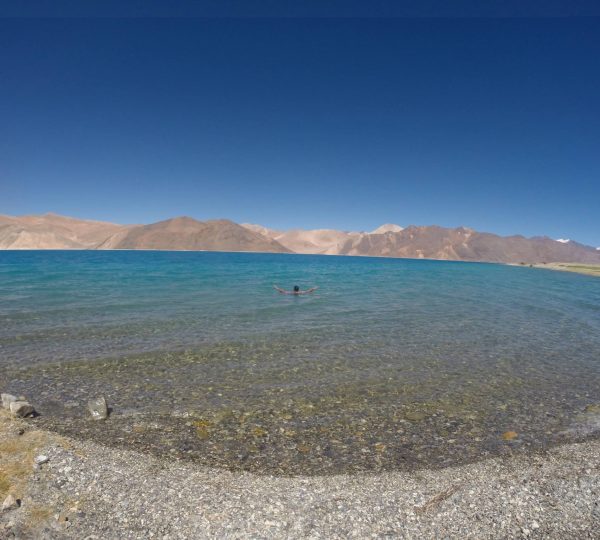 10535684 10152289123401024 6670554236959003318 o