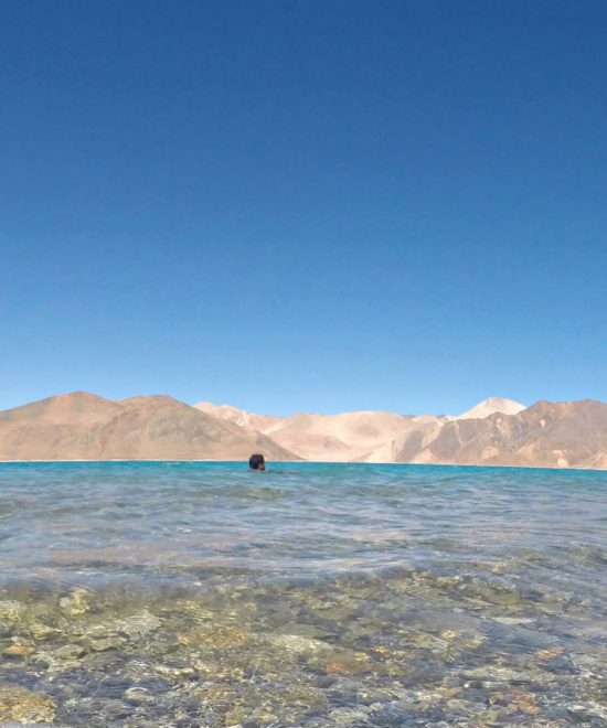 10661781 10152289120681024 8835353137576032080 o