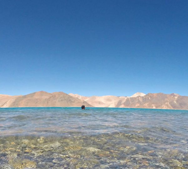 10661781 10152289120681024 8835353137576032080 o