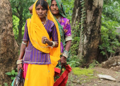 Whispers of Royalty: 13 Exquisite Ways to Live the Jaipur Dream