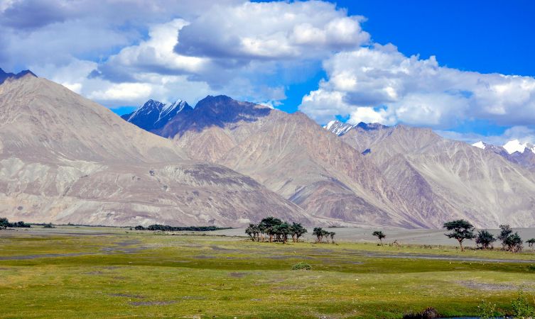 Nubra Valley river and meadow in a valley with mountains in the distance