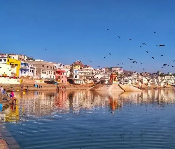 rajasthan pushkar 768x509