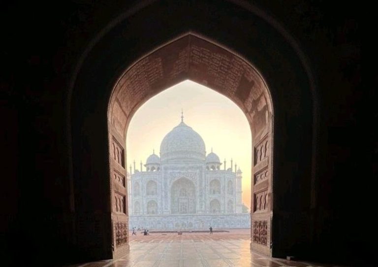 Bespoke tour of Golden triangle (1)