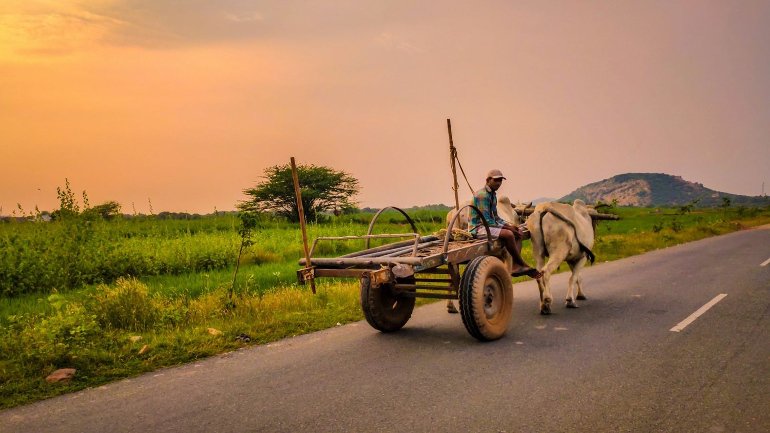 man riding on horse carriage on road during daytime - rural travel in India