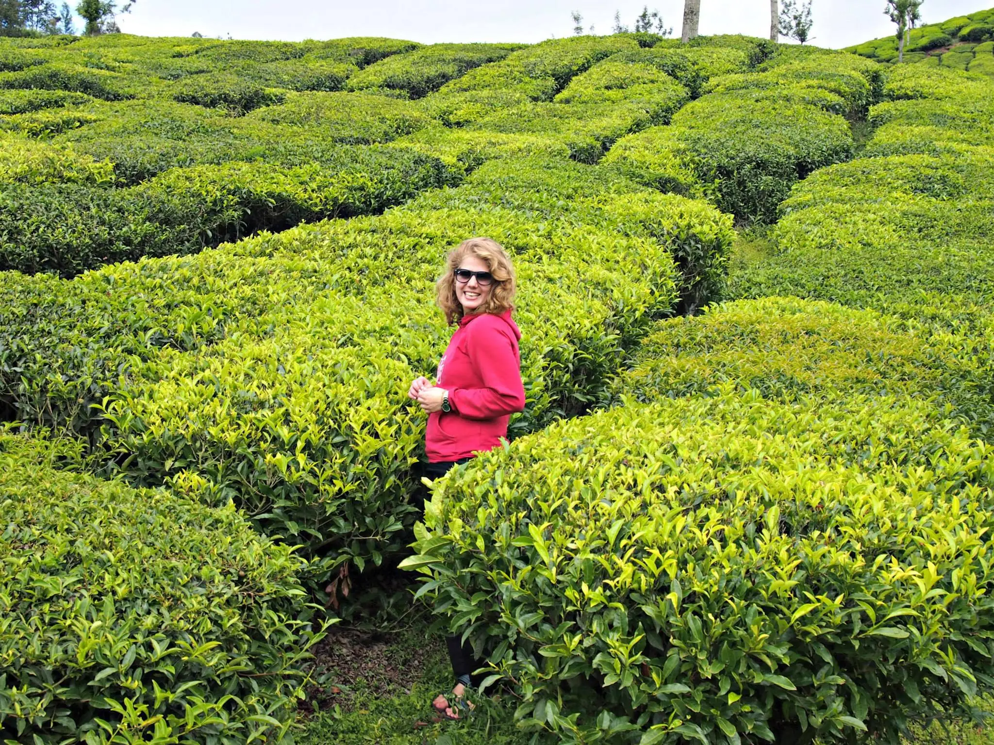 best sightseeing places in kerala