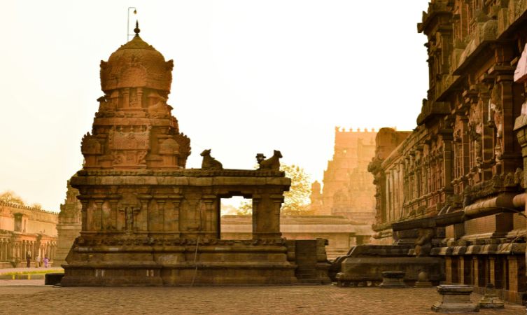 brown concrete building during daytime