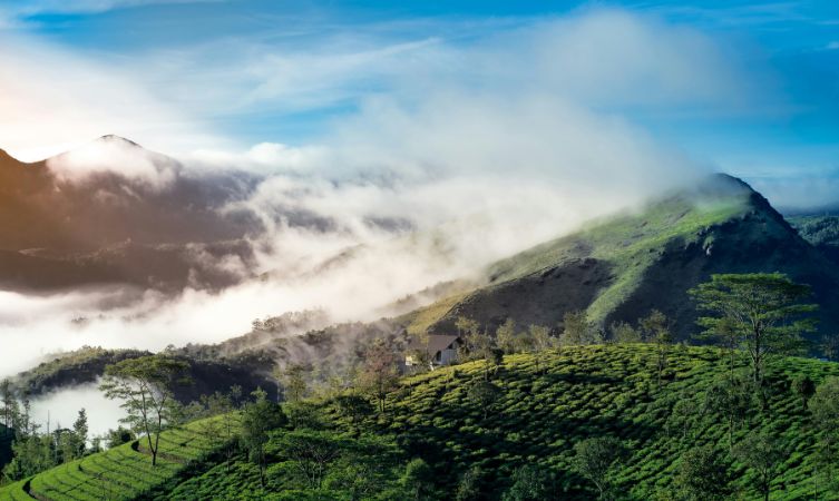 cloudy foggy green mountain bird eye view - Kerala tour in december