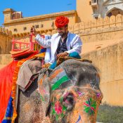 Golden Triangle India Guide