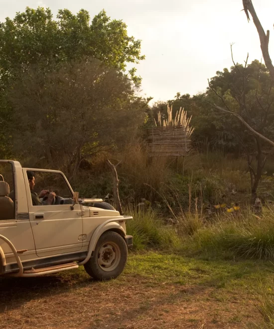 For Travelers Who Value Privacy: Discovering Khem Vilas in Ranthambore