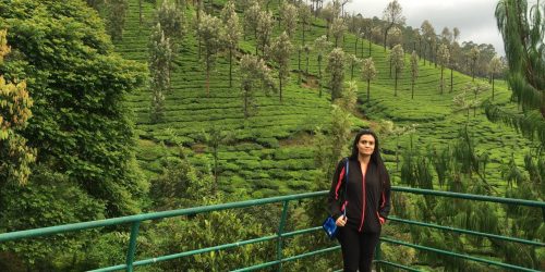 Discover south india